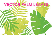 Vector Palm Leaves, an Illustration by Sarah Hearts (Thumbnail 1 of 2)