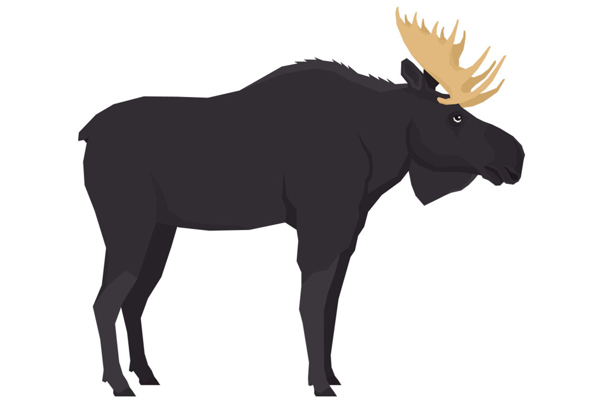 Moose Forest Wildlife set, an Object Graphic by Nenilkime (Photo 2 of 3)