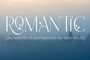 Late Fall - floral font duo, a Serif Font by Innire (Thumbnail 5 of 12)