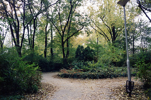 grove in a park on the Margaret Island in Budapest, a Photo by WorldOfPhotos