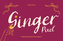 CS Ginger Pixel
