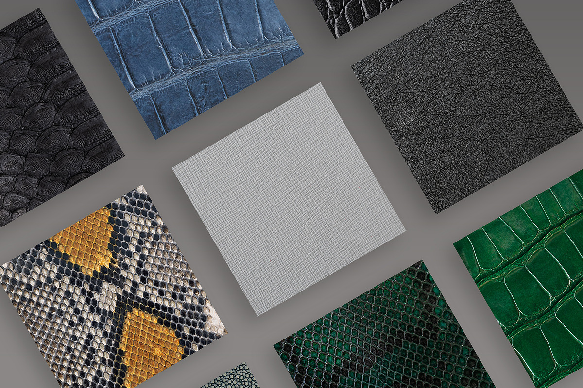 Wild animals skin patterns, a Texture Graphic by Elijah (Photo 4 of 10)