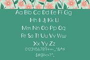 Strawberry Ice Cream Display Font, a Handwritten Font by RoxyStudioCo (Thumbnail 2 of 8)