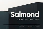 Salmond - Font Family, a Sans Serif Font by Arterfak Project (Thumbnail 1 of 13)