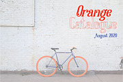 Dolphins Serif with Decorative, a Serif Font by Alandya TypeFoundry (Thumbnail 8 of 9)