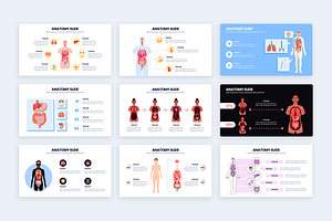 Anatomy Illustrator Template Slides