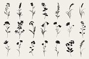 Botanical Flower Silhouettes Set, an Object Illustration by NatalieArtShop (Thumbnail 2 of 12)