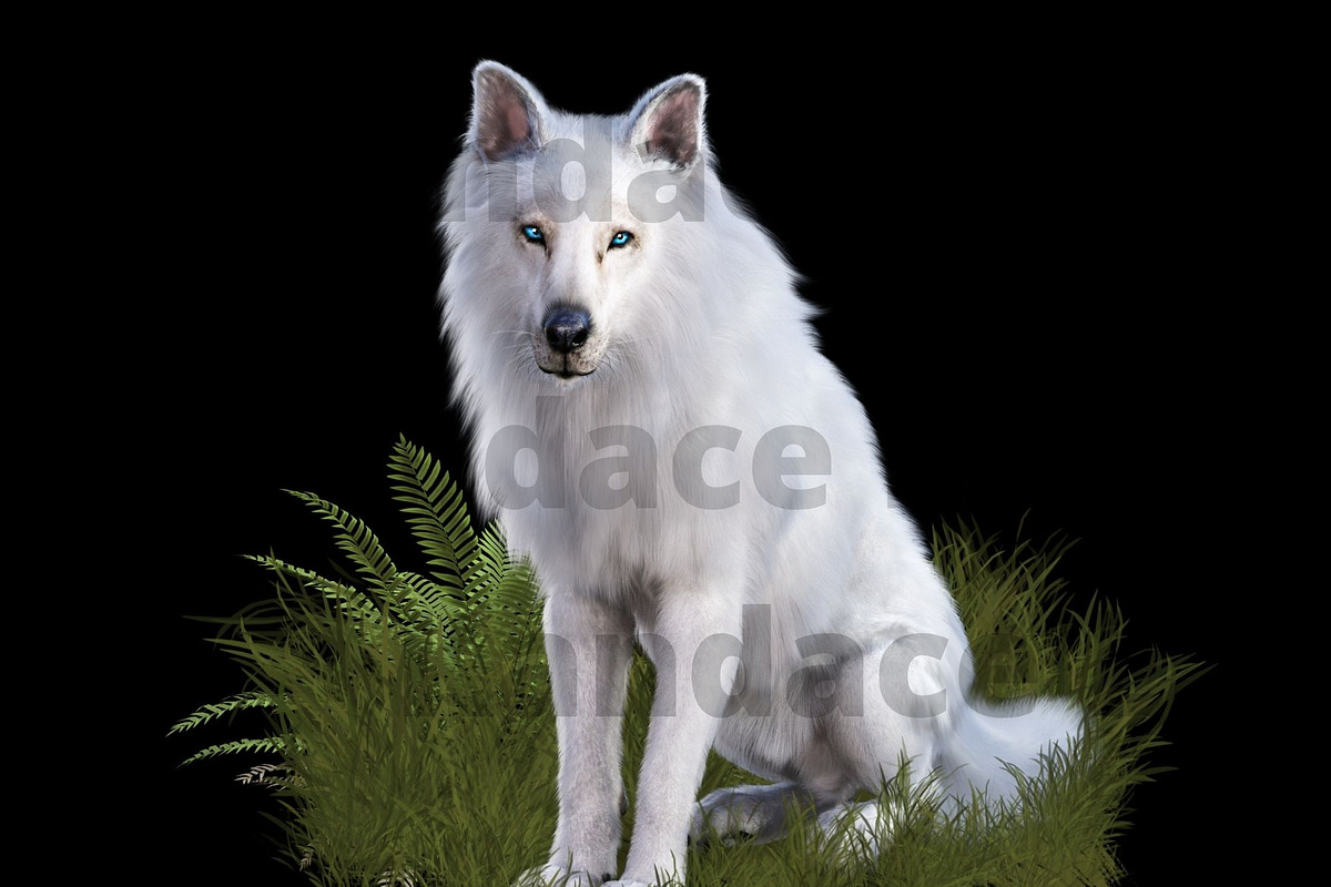 White Dire Wolf Illustration, an Illustration by Kandace Lalo Designs (Photo 5 of 5)