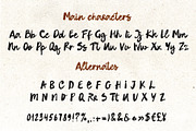 Bold brush script font handwritten, a Script Font by TD fonts (Thumbnail 7 of 10)