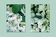Minimalist green bundle 96, a Person Photo by Jenya Porechenskaya (Thumbnail 6 of 7)