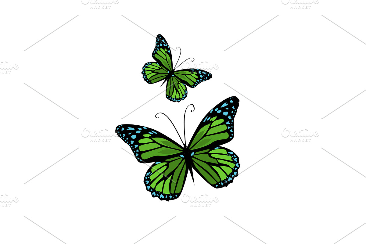 green butterflies Hand drawn. Not AI, an Animal Illustration by Nenahliadava Design