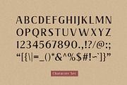 Valeria - Elegant Serif, a Serif Font by Arterfak Project (Thumbnail 2 of 11)