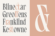 Chantila - Modern Serif Font, a Serif Font by TropicalSunlightCo. (Thumbnail 6 of 10)