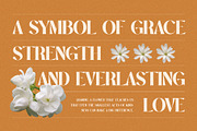 Surong Elegant Serif Font Typeface, a Serif Font by Graphicxell (Thumbnail 5 of 10)