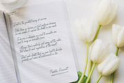 Senofeetha, a Script Font by Integritype Studio (Thumbnail 6 of 15)