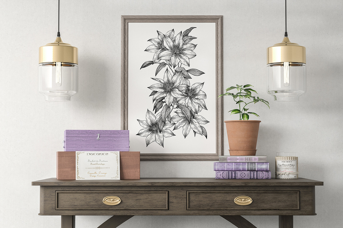 Flowers of Clematis. Botanical Set, a Decorative Illustration by ON_lineart_store (Photo 3 of 10)
