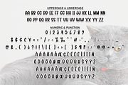 Cute Cat | Script Font, a Script Font by Scratchones (Thumbnail 7 of 8)
