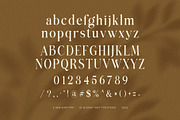 Bigland Elegant Serif Font, a Serif Font by Elegant Font (Thumbnail 8 of 8)