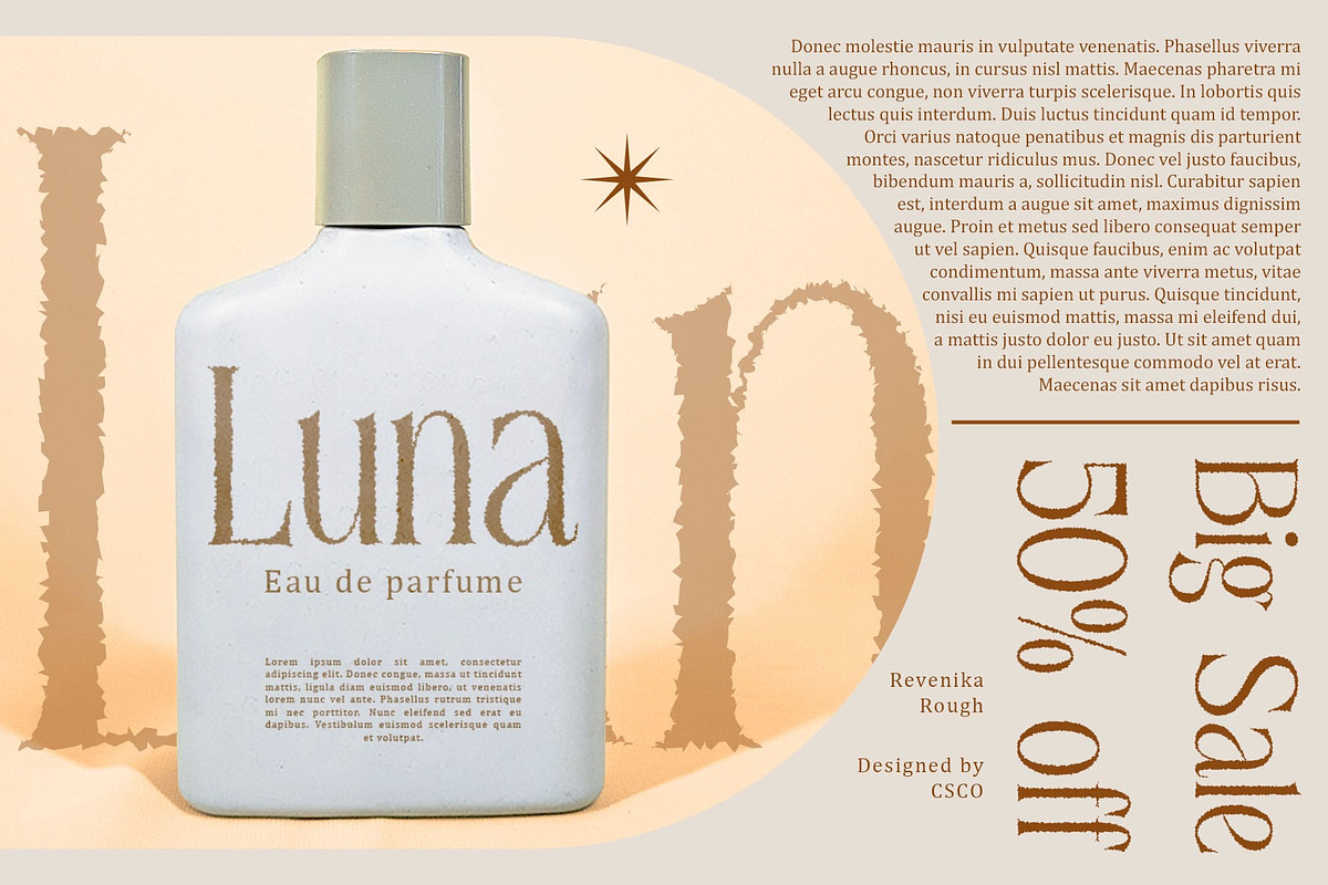 Revenika Rough, a Serif Font by Craft Supply Co. (Photo 5 of 8)