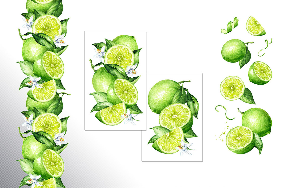 Lime citrus. Watercolor collection, a Food Illustration by Daria Ustiugova (Photo 11 of 21)