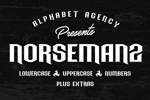 Norseman 2, a Serif Font by Alphabet Agency