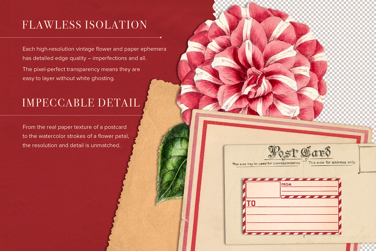 Vintage Valentine Creator, an Object Graphic by The Object Atlas (Photo 3 of 9)