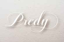 Predy