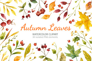 Autumn leaves. Fall clipart
