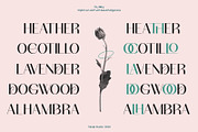 TBJ Milky – 8 Styles Boldly Sans, a Sans Serif Font by Taboja Studio (Thumbnail 10 of 18)