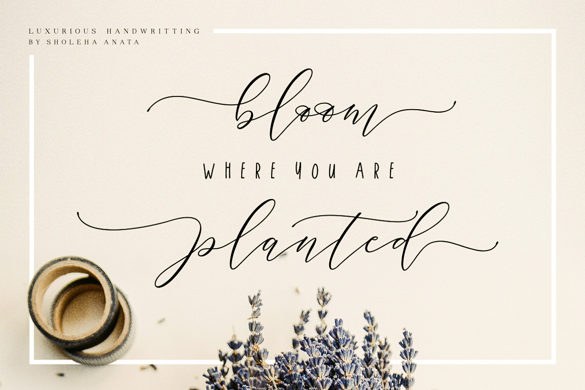 Sale 30% // Cintha Elegant Script, a Script Font by Anatadesign (Photo 11 of 15)