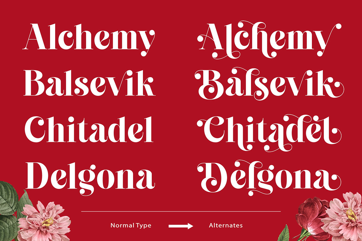 Cheva Display Serif Font, a Sans Serif Font by Letteralle Studios (Photo 6 of 9)