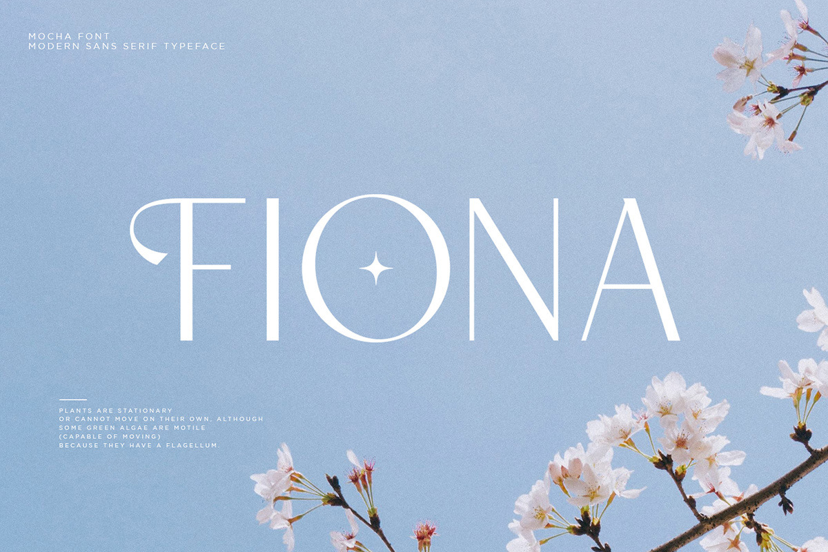 Mocha | Modern Display Sans, a Serif Font by Pentagonistudio (Photo 6 of 10)