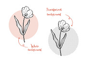 Tulip Line Art, Botanical SVG & PNG, an Object Graphic by ArtGiftsStudio (Thumbnail 5 of 6)