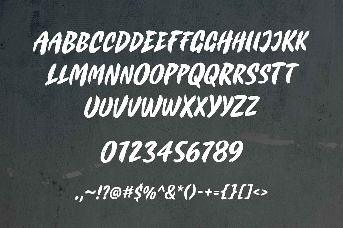 Wild Rush; Bold Brush Display Font, a Handwritten Font by Eko Bimantara (Photo 3 of 4)