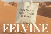Galante Branding Luxury Font Family, a Serif Font by Sensatype (Thumbnail 6 of 21)
