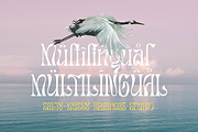Salty Mussy - Quirky Twisted Display, a Sans Serif Font by Dharmas Foundry (Thumbnail 15 of 15)