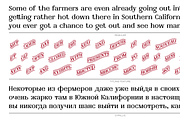 Furius, a Serif Font by Typogama (Thumbnail 10 of 10)