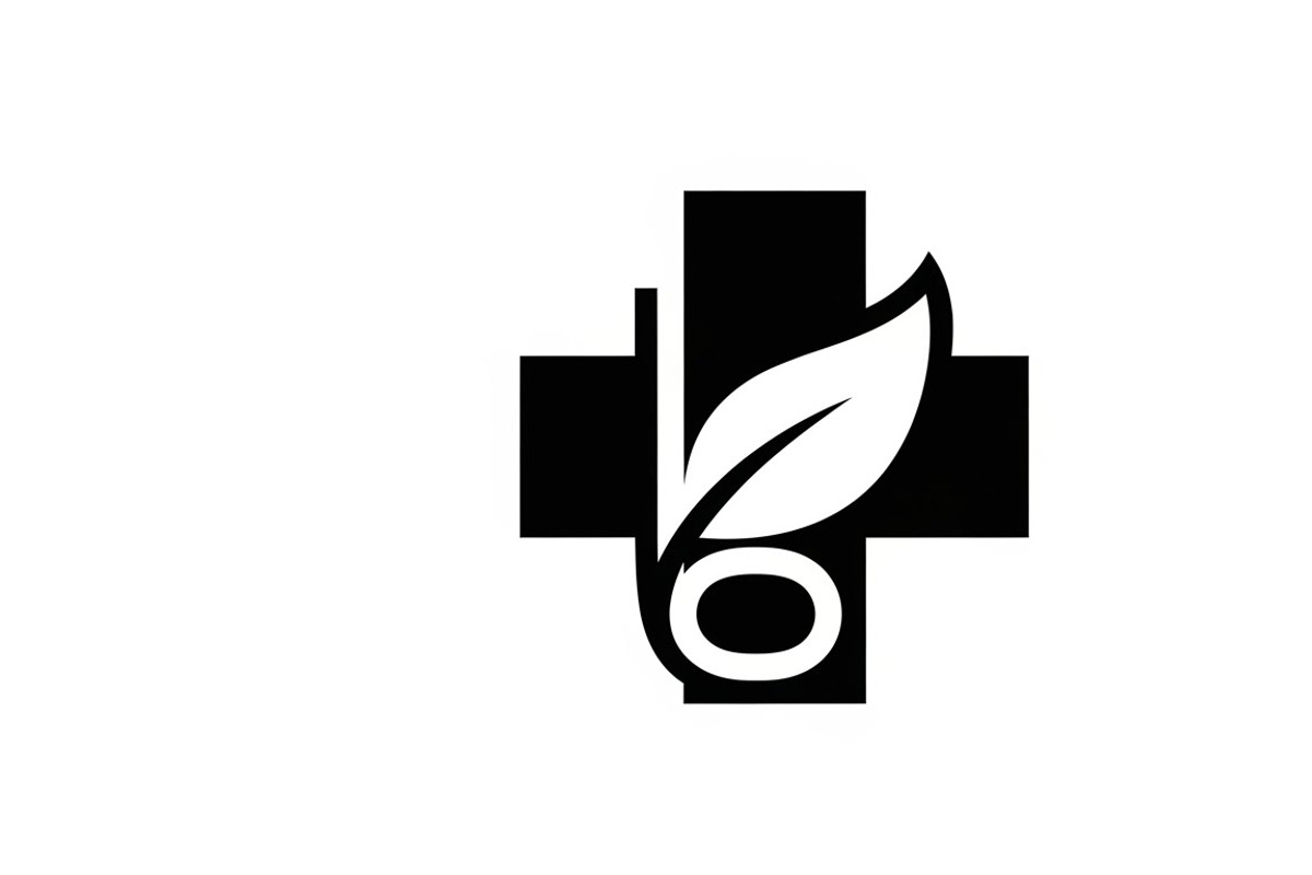 Professional medical cross with logo, an Illustration by Amazin_art (Photo 9 of 21)