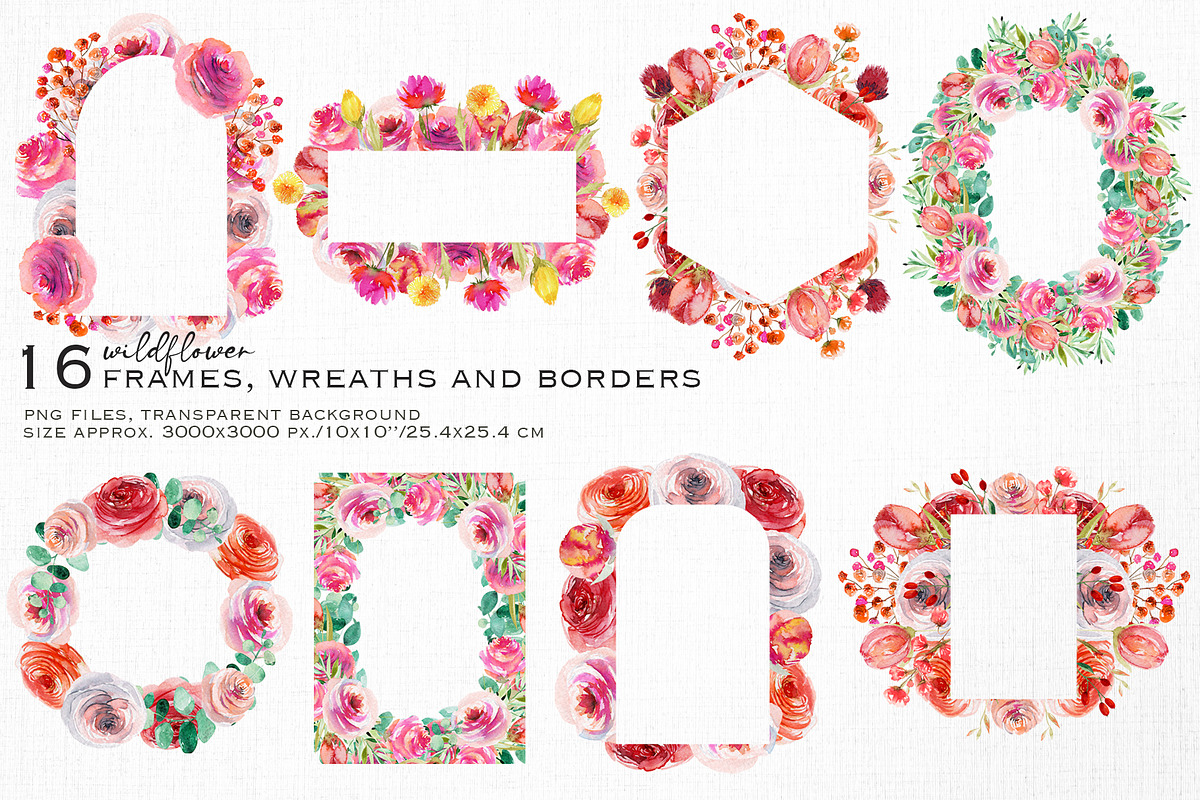 Wild flowers collection, a Texture Illustration by Skliarova (Photo 7 of 11)