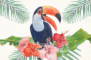 Toucans And Flamingos Watercolor Set