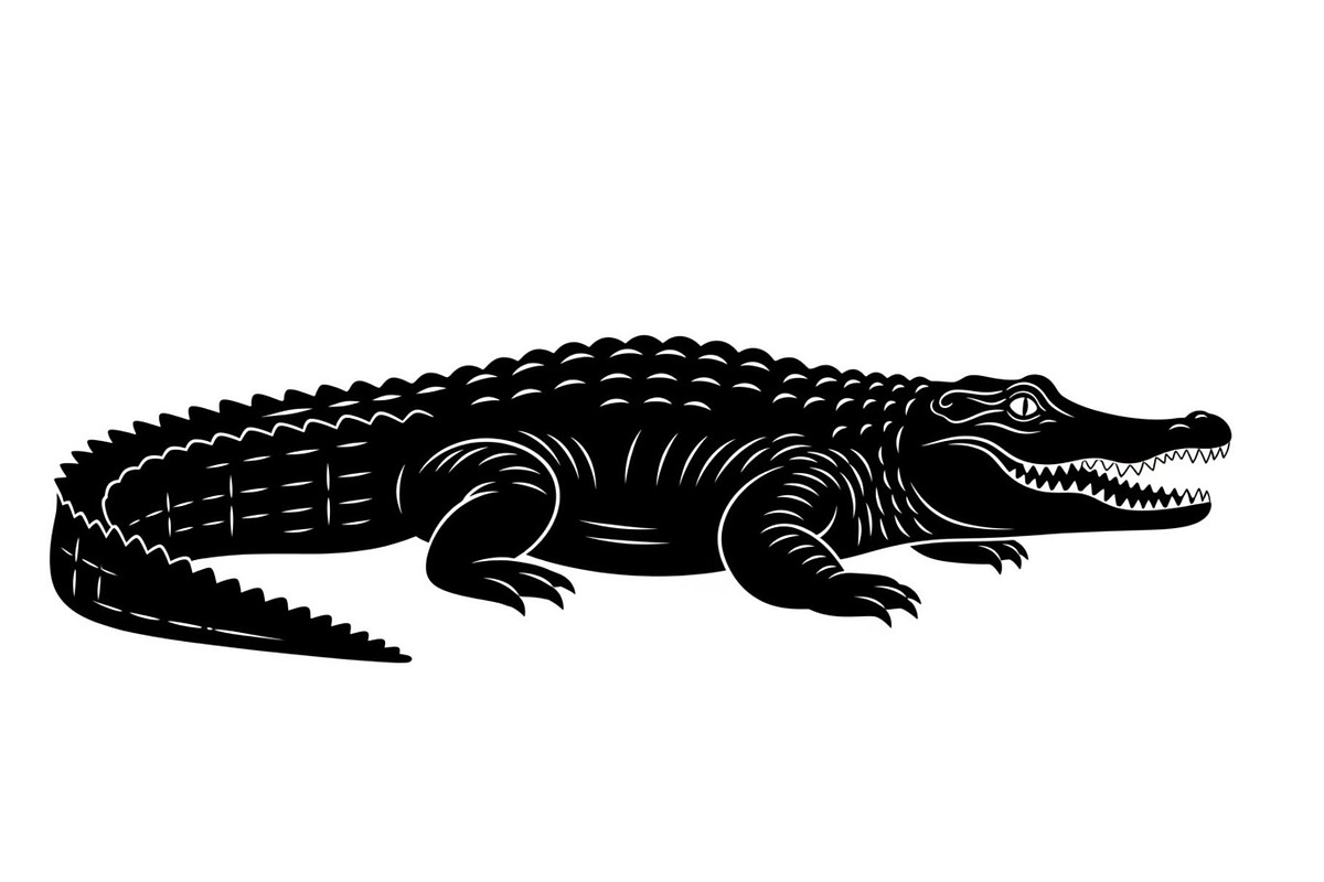 Crocodile Alligator Vector Bundle, an Illustration by jahid234 (Photo 19 of 51)