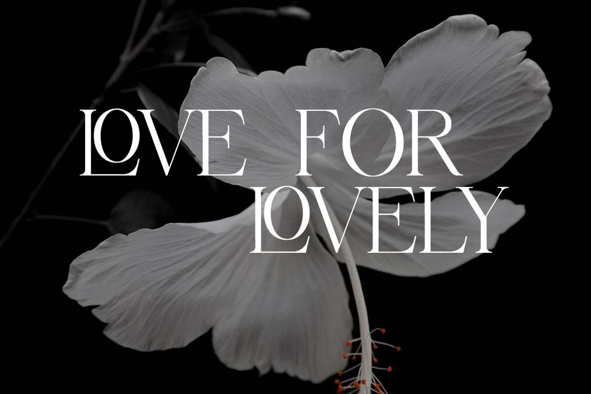 Astraroche Modern Serif Font, a Serif Font by UICreative (Photo 6 of 13)