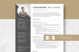 Modern Resume Template - Theodore