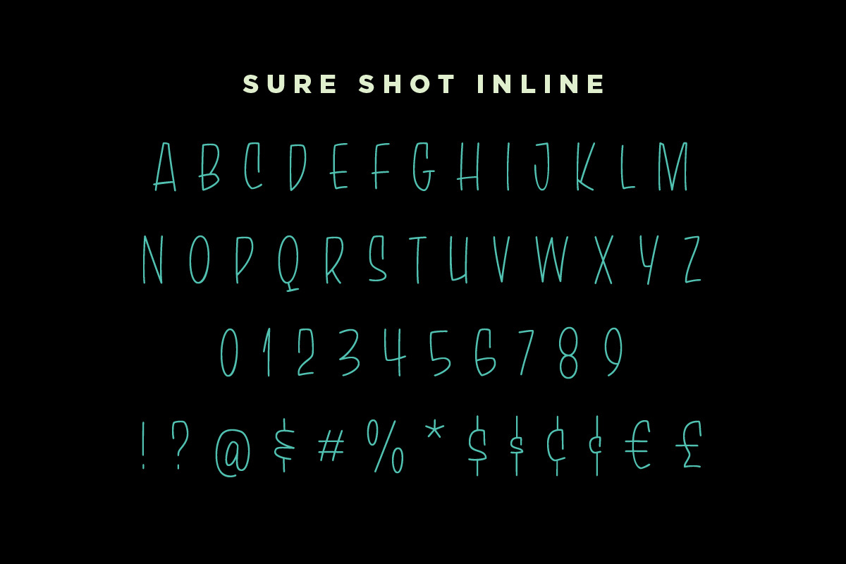 Sure Shot Casual Brush Script, a Script Font by Price Foundry (Photo 6 of 29)