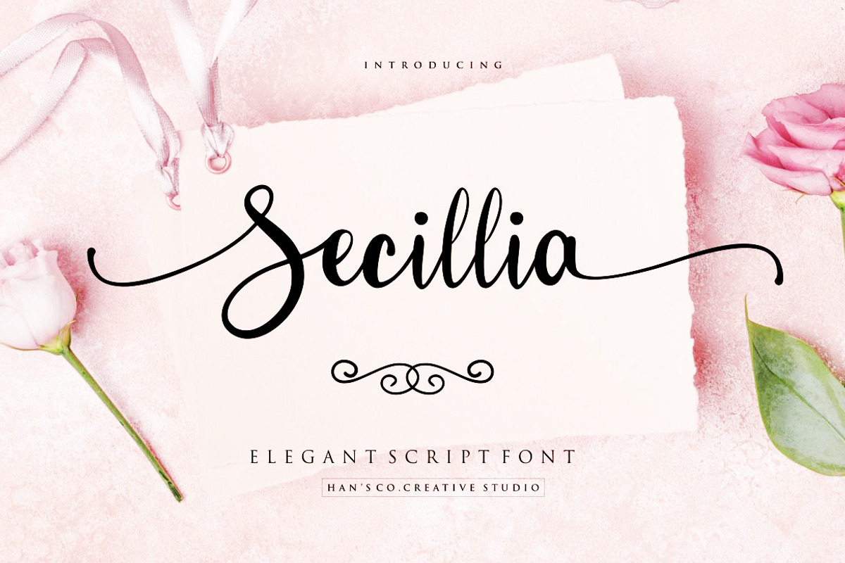 Secillia font, a Script Font by Burhan Afif (Photo 1 of 9)
