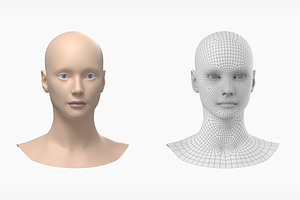 Natural Female Head 01 Generic Mesh