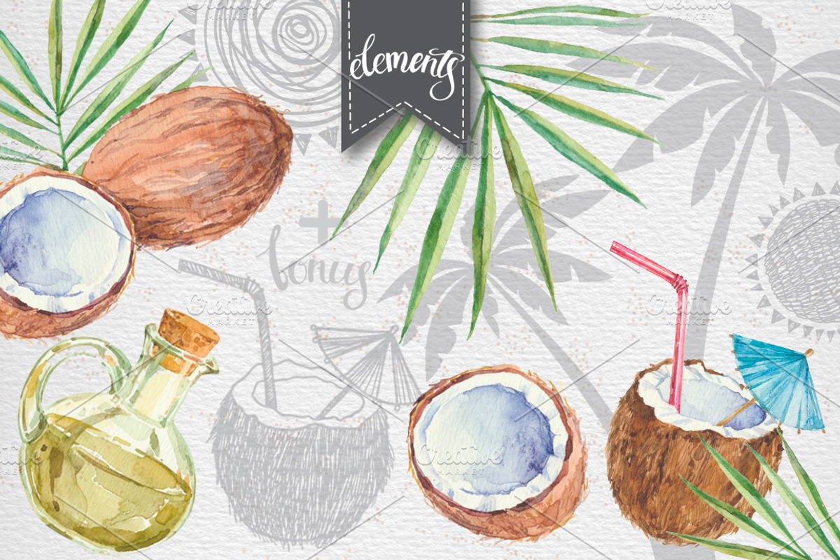 Coconut set, a Food Illustration by maritime_m (Photo 4 of 6)