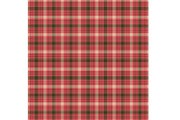 Boho Plaid Seamless Pattern, a Pattern Graphic by Sharon Schwalbe (Thumbnail 4 of 4)