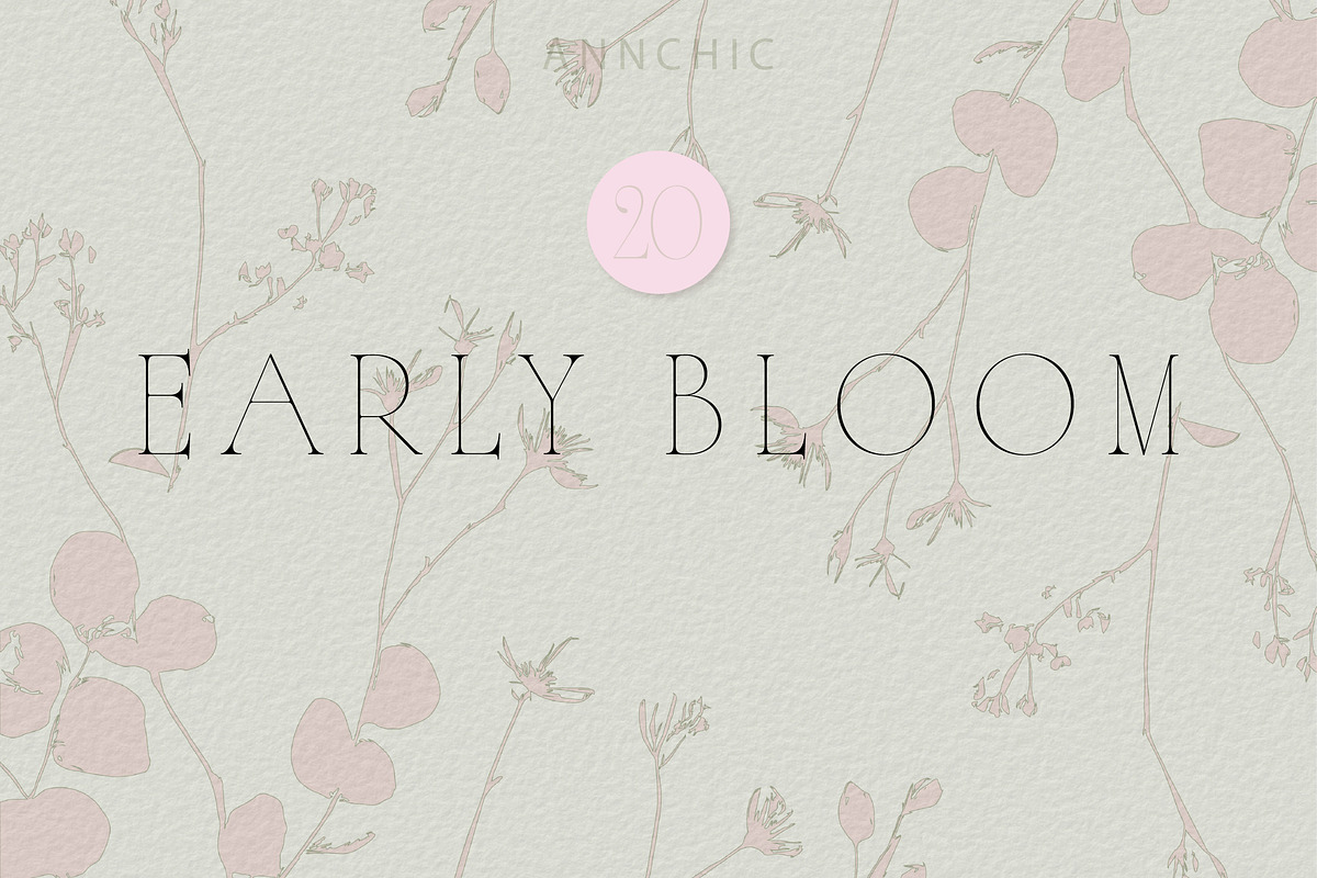 Botanical Background Collection, a Background Graphic by Anna Sokol (Photo 1 of 14)