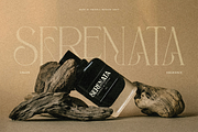 Emirola, a Serif Font by Burntilldead (Thumbnail 8 of 14)